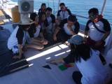 sdkt team building dinamika tim labuan bajo