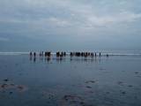 sdkt team building game pantai kuta 11